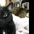 @valsblackcatsrule8740 Avatar