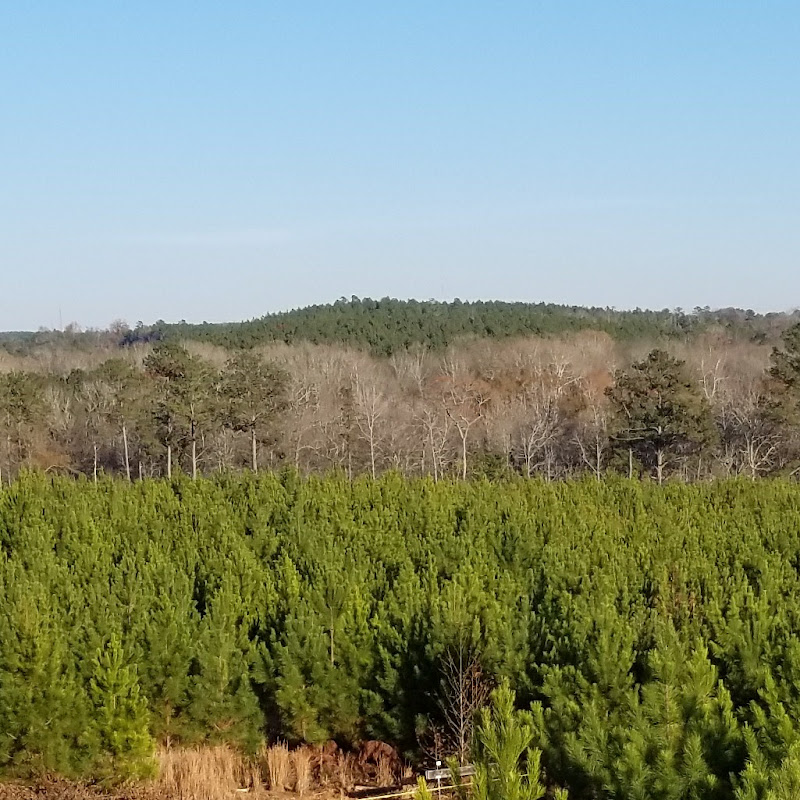 Burns Farm