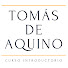 bVd6sC1Cfwk-channel-avatar-Tomás de Aquino