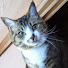 pAWuitngVVA-channel-avatar-AVI CHANNEL