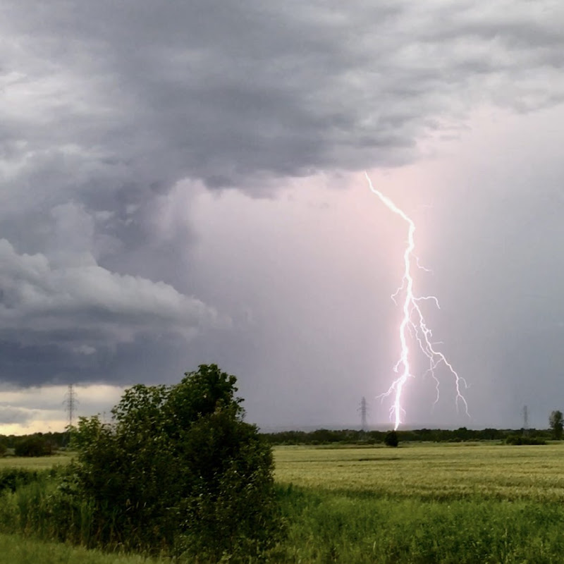 chris loster