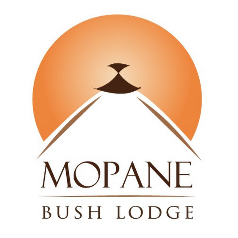 Mopane Bush Lodge