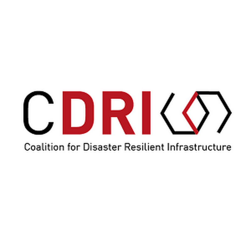 Coalition for Disaster Resilient Infrastructure