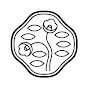 SHISEIDO logo
