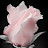 @vartushteravetisyan4981