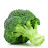 broccolibar