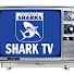 Ah35Qj__KUg-channel-avatar-EFFCSHARKS
