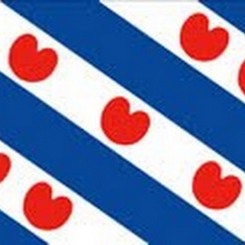 friesenrudi