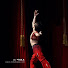 GYAVdX99KOE-channel-avatar-발레청년