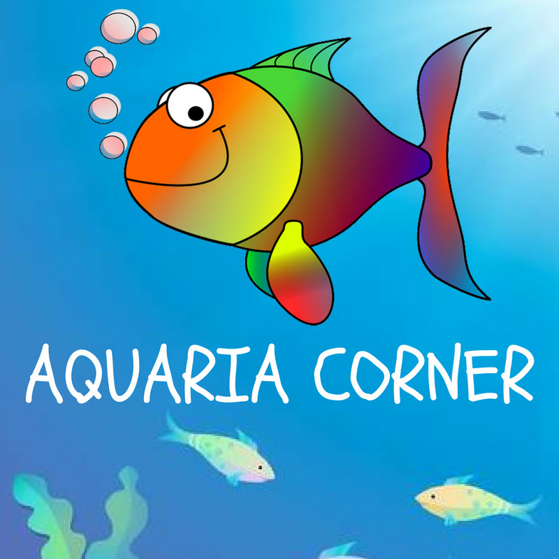 Aquaria Corner