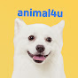 KBS동물티비 : 애니멀포유 animal4u