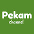 HH4C9nAuKwc-channel-avatar-Pekam