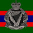 1b6acAFkcYM-channel-avatar-RoyalIrish2011
