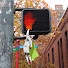 rD9G8i7DMyg-channel-avatar-ramblingseattle