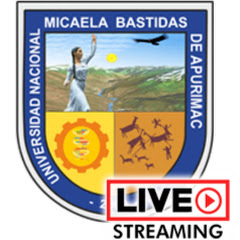 Universidad Nacional Micaela Bastidas de Apurímac