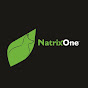 NatrixOne logo