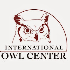 International Owl Center