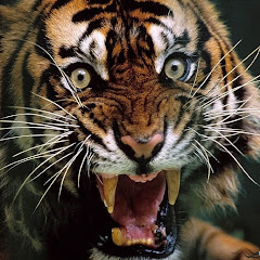 современый разговор