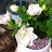 @user-jt2zs2kg3d
