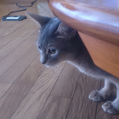 ふみか?