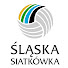 iHfLwOD-LZQ-channel-avatar-Śląska Siatkówka