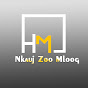 Nkauj Zoo Mloog