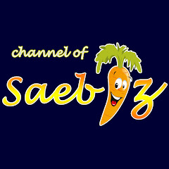 Saebiz channel
