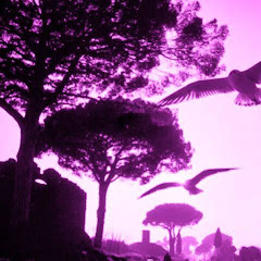 dreamwaltz