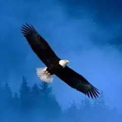 无禅法苑アイコン画像