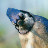 @FirsToStrike's avatar