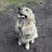 @muckydog5806's avatar