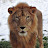 @lp8380's avatar