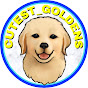 Cutest Goldens Image Thumbnail