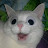 @user-zf5gg1yk8h