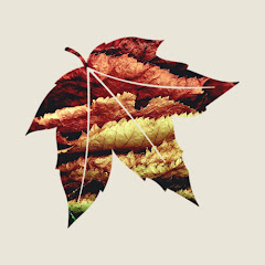 AutumnFeels