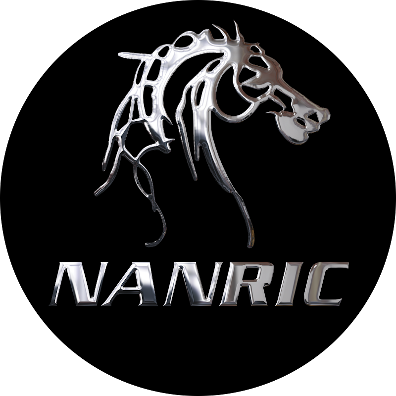 NANRIC YouTube Channel