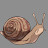 Salubrious Snail
