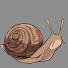EH9iUFBGXrs-channel-avatar-Salubrious Snail