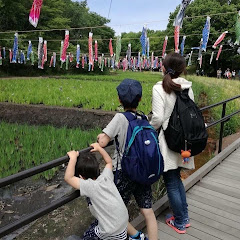 発達Lifeアイコン画像