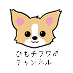 ひもチワワチャンネル