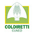 DMJ5wgKZ_JU-channel-avatar-Coldiretti Cuneo