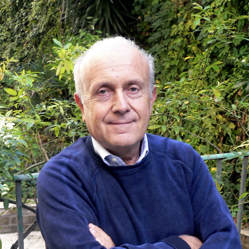 vincenzo fontana