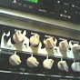 gigmods