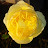 @alvindoubleu620 Avatar