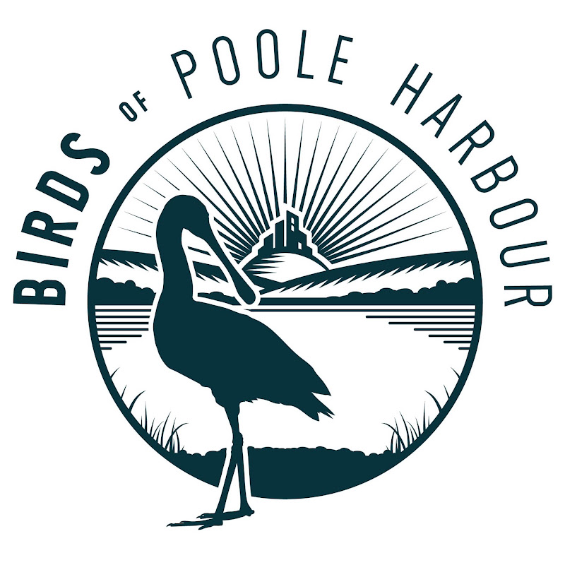 birdsofpooleharbour logo