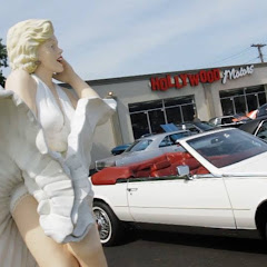 Hollywood Motors CARFELLAS