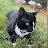 @outbook's avatar