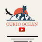 CURIO OCEAN (C.O.) logo