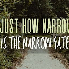 The Narrow Gate Avatar