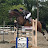 Blue Collier Showjumping